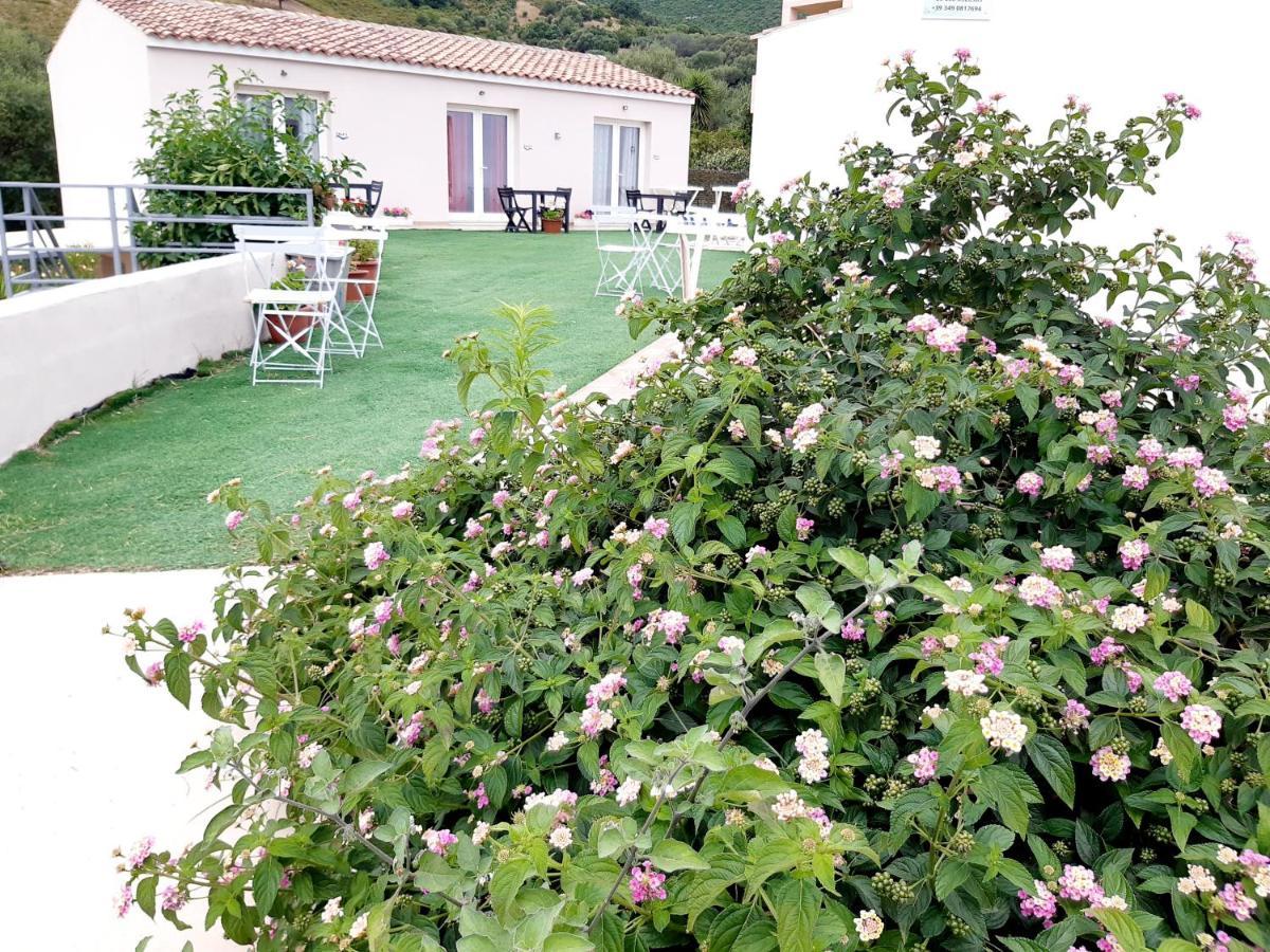 Sole E Sale 2 Bed & Breakfast